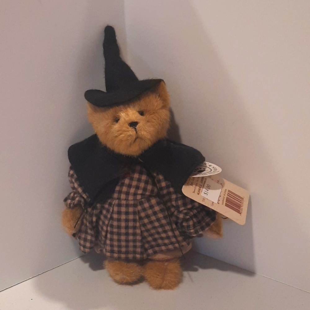Halloween Boyd' Bear Witch